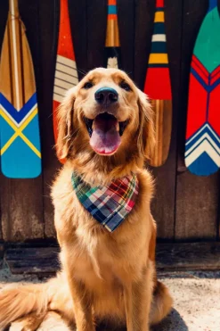 Montauk Patchwork Madras Bandana