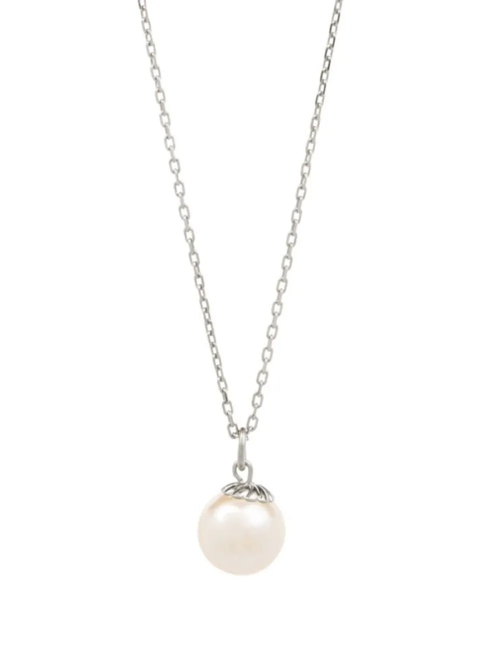 Oyster Elegance
