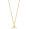 Oyster Elegance