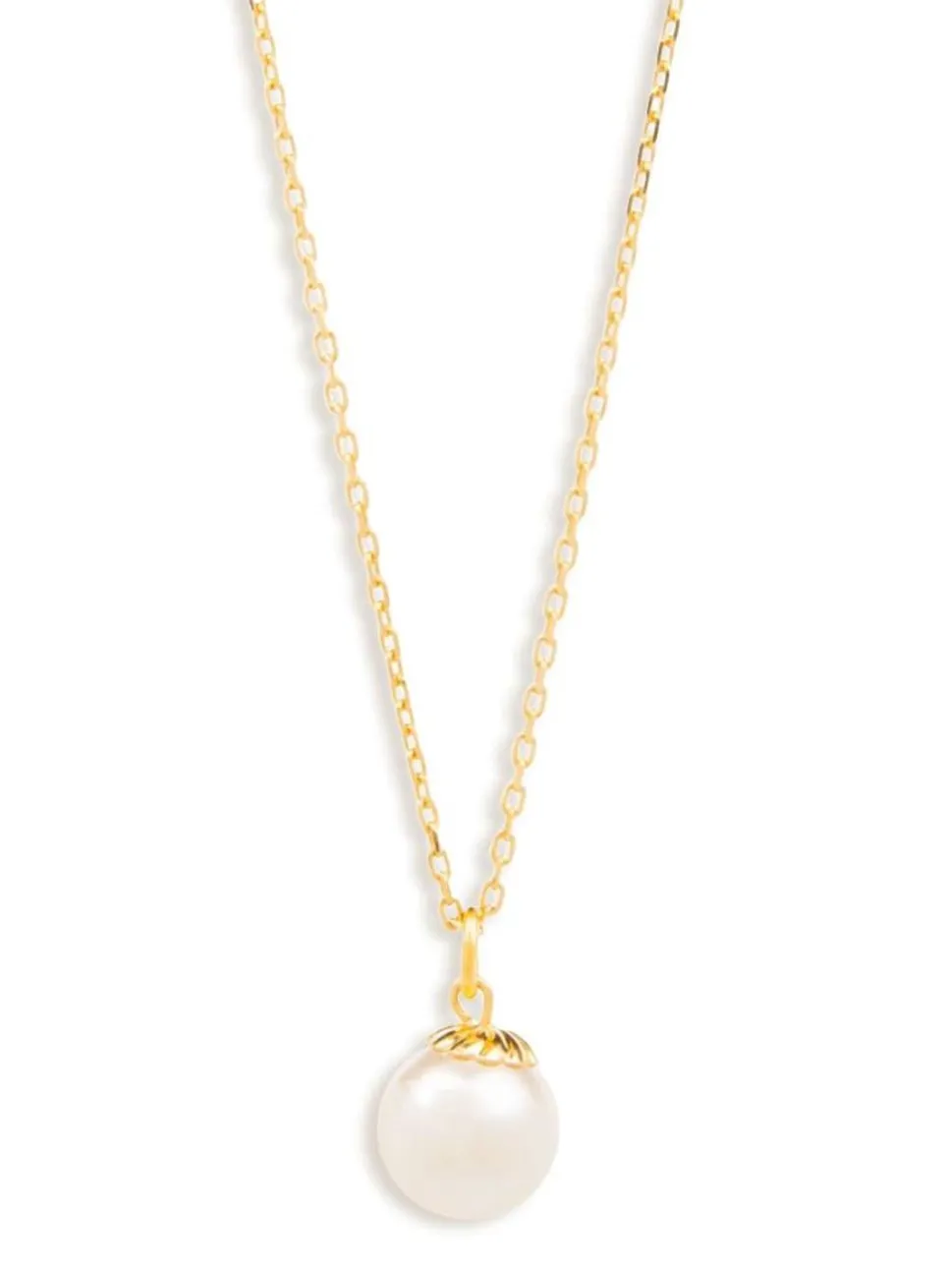 Oyster Elegance