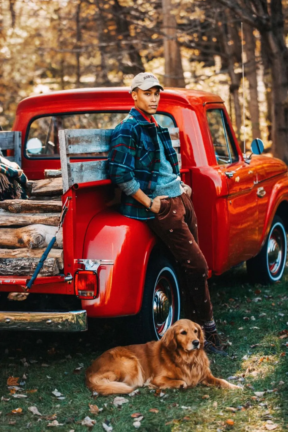 The Sly Fox Cords